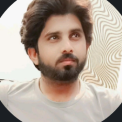 Muhammad Farhan Hussain Avatar