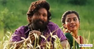 Pushpa Budget: Movie Budget, Box Office Collection & Cast Pushpa Budget: How Much Did the Movie Cost to Make?