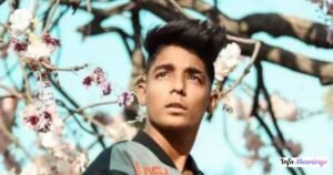 Rohit Zinjurke Age: Biography, Date of Birth, Height, Career Rohit Zinjurke Net Worth, Income Sources and Lifestyle